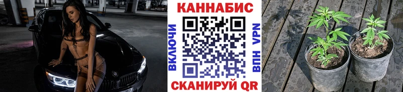 Где продают наркотики Знаменск ГАШ  МЕГА   МЕФ  Конопля  COCAIN 