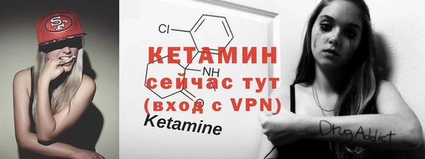 ПСИЛОЦИБИНОВЫЕ ГРИБЫ Алагир