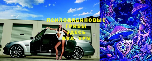 бошки Вяземский