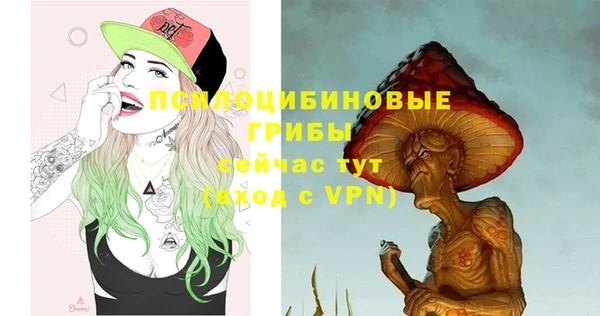 бошки Вяземский