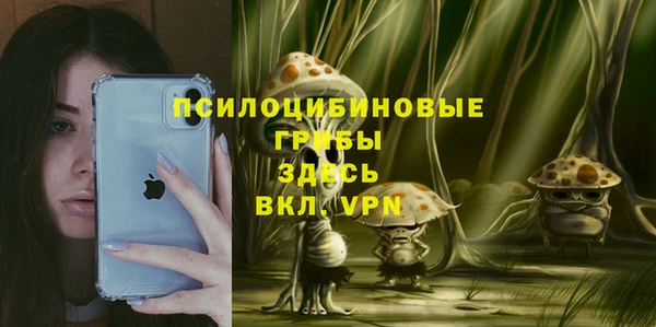 Альфа ПВП Вязьма